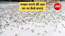 मच्छर घर में ना आए इसके लिए क्या करें? मच्छर को भगाने के लिए क्या जलाना चाहिए