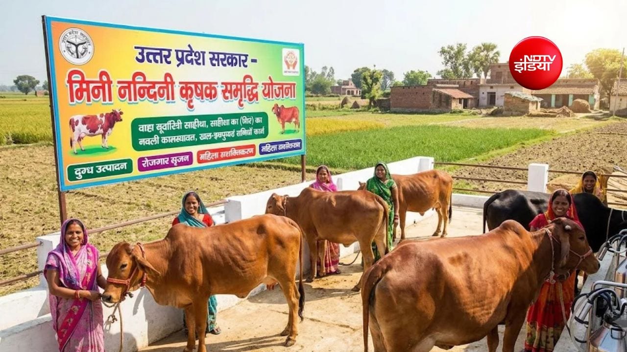 मिनी नंदिनी योजना में बड़ा बदलाव, पशुपालक अब घर बैठे दूसरे राज्यों से खरीद सकेंगे साहीवाल और गिर नस्ल की गाय
