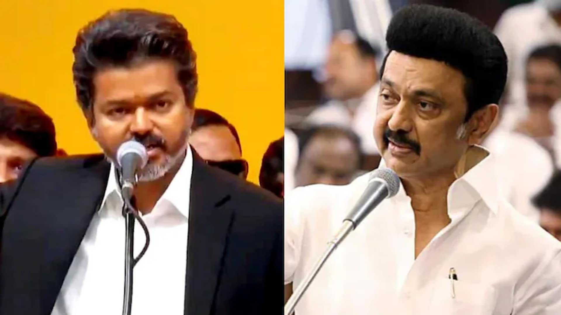 "Indecent, Perverse": Vijay Slams MK Stalin's Remark On TVK's Woman Candidate