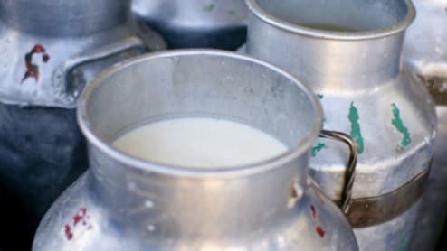 दीपावली से पहले यूपी से 38 हजार लीटर मिलावटी दूध जब्त, जांच के लिए 7 सैंपल लैब भेजे गए