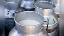 After Nandini Milk Price Hike, Will Bengaluru Restaurant Bills Get Costlier?