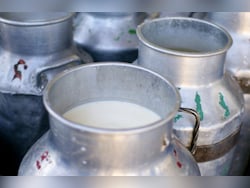 Karnataka To Raise Milk Prices By Rs 8 Per Litre From November 1