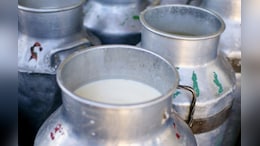 Karnataka To Raise Milk Prices By Rs 8 Per Litre From November 1