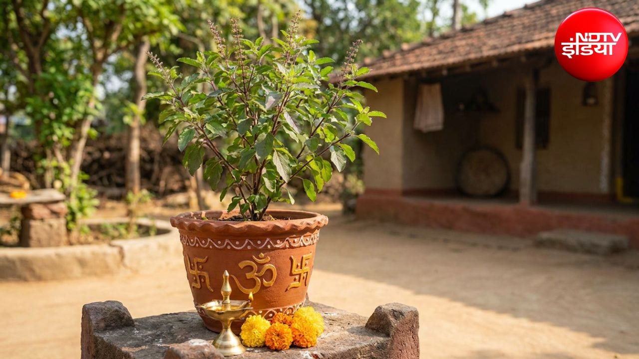 Vastu Tips: तुलसी को किस दिशा में रखना चाहिए? जानिए घर में तुलसी रखने का सही तरीका