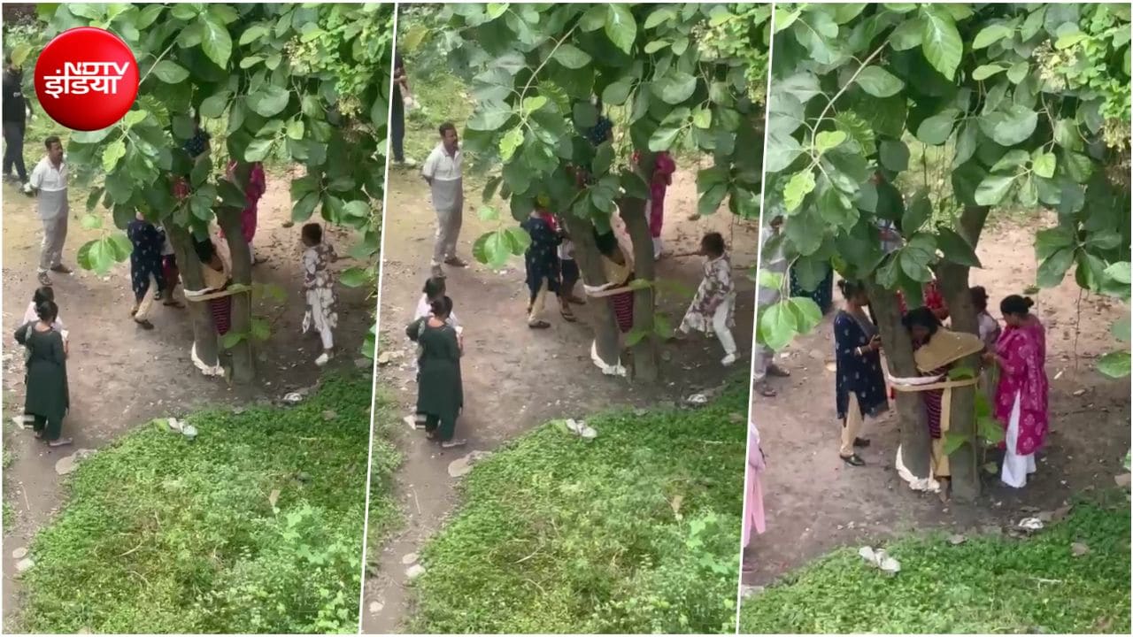 पेड़ से बांधा, डंडे से पीटा... धनबाद में पैसे के लेन-देन के विवाद में महिला की बेरहमी से पिटाई, VIDEO वायरल
