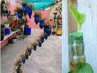 प्लास्टिक की पानी की बोतलों को दोबारा इस्तेमाल करने के 3 तरीके, बालकनी गार्डन दिखेगा और खूबसूरत