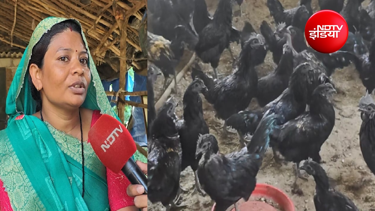 10 साल की मेहनत: कड़कनाथ मुर्गे से बदली दुर्गाबाई की जिंदगी; फार्म बनाया, ट्रैक्टर खरीदा, उठा रहीं घर का खर्च