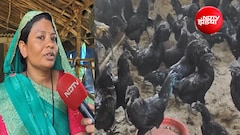 10 साल की मेहनत: कड़कनाथ मुर्गे से बदली दुर्गाबाई की जिंदगी; फार्म बनाया, ट्रैक्टर खरीदा, उठा रहीं घर का खर्च