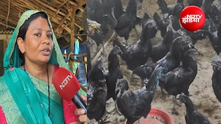 10 साल की मेहनत: कड़कनाथ मुर्गे से बदली दुर्गाबाई की जिंदगी; फार्म बनाया, ट्रैक्टर खरीदा, उठा रहीं घर का खर्च