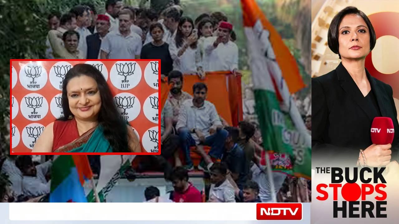 'Criticise, But Don't Create Anarchy': BJP's Message To Rahul Gandhi's Nov 1 Rally