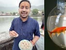 मछली को आटा खिलाने से क्या होता है? एस्ट्रोलॉजर अरुण पंडित ने बताया किसे करना चाहिए ये शक्तिशाली उपाय