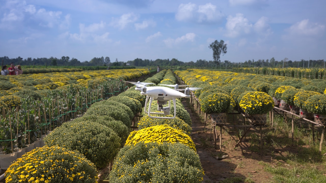 From Farmers To Small Businesses: Google Expands Its AI Push In India