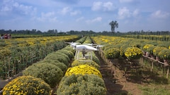 From Farmers To Small Businesses: Google Expands Its AI Push In India