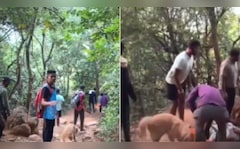 After Man Dies Near Pune Fort, Pet Dog Stays, Follows Body Down Mountain