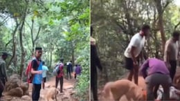 After Man Dies Near Pune Fort, Pet Dog Stays, Follows Body Down Mountain