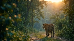At Aahana, The Corbett Literature Festival Finds A Story Beyond The Tiger