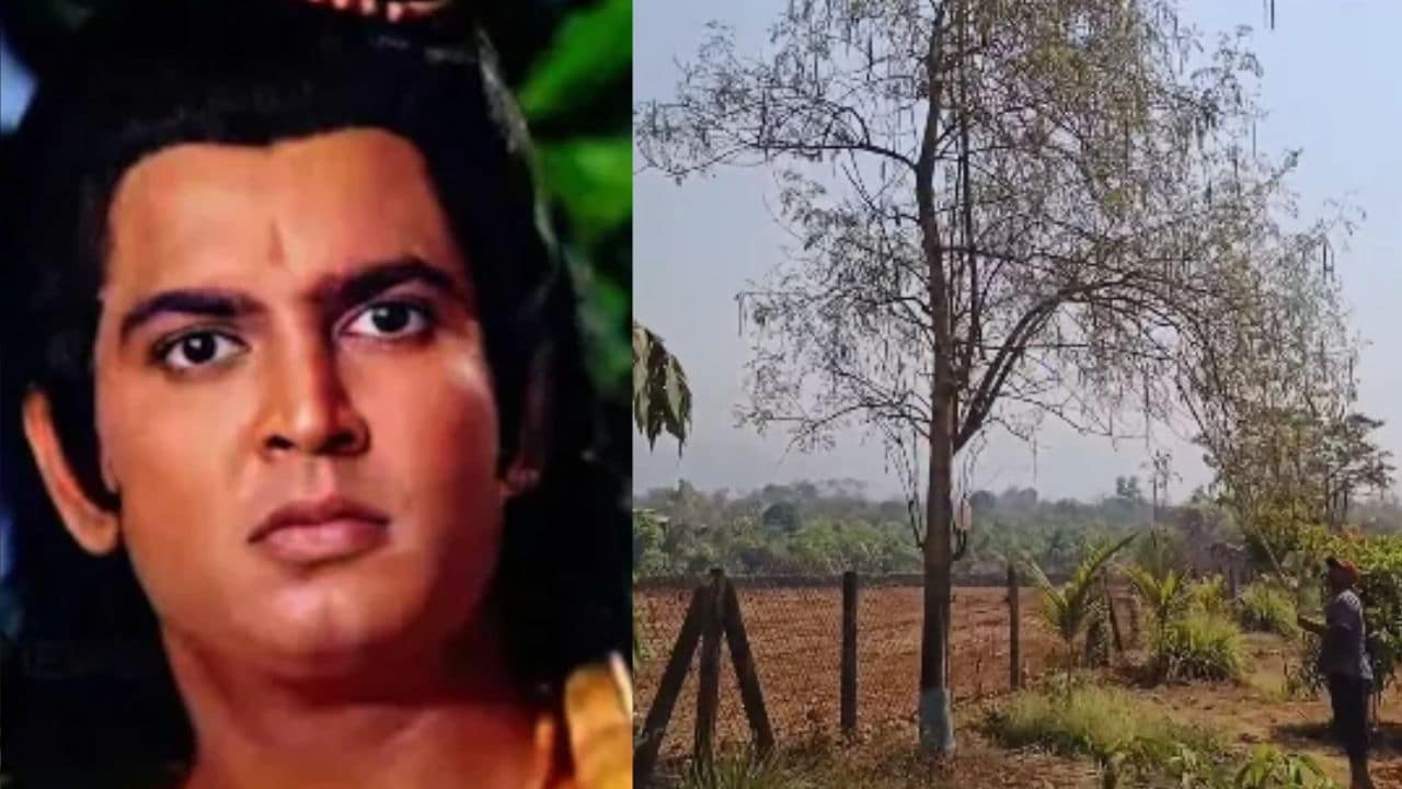 रामायण के लक्ष्मण के फार्म का वीडियो, मोरिंगा से लेकर की काजू और पपीता की खेती, सुनील लहरी ने फैंस का जीता दिल