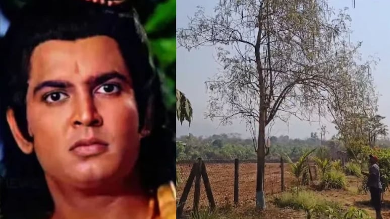 रामायण के लक्ष्मण के फार्म का वीडियो, मोरिंगा से लेकर की काजू और पपीता की खेती, सुनील लहरी ने फैंस का जीता दिल