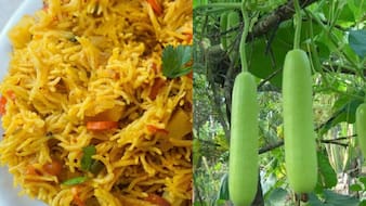 Lauki Rice Recipe: रात के बचे चावल से सुबह बना लें लौकी राइस, घिया से नफरत करने वाले भी मांगेंगे दोबारा