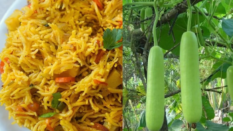 रात के बचे चावल से बनाएं ब्रेकफास्ट में बना लें टेस्टी लौकी राइस, घिया से नफरत करने वाले भी मांगेंगे दोबारा