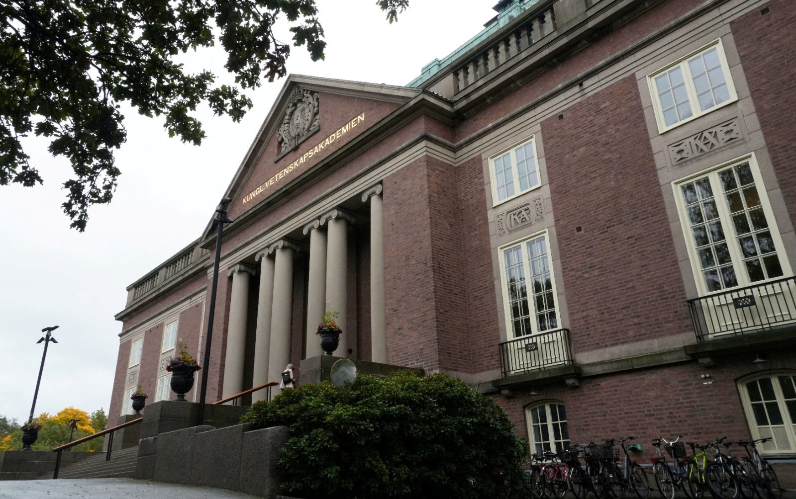 What Are Nobel Prizes And Who Awards Them?