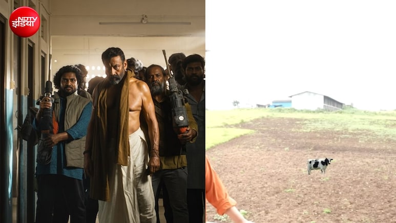 जैकी श्रॉफ का पुणे वाला 44000 स्क्वायर फीट में बने फार्महाउस का इनसाइड वीडियो, आम, चावल, सब्जियों की करते हैं ऑर्गेनिक खेती, ग्रीन का किचन देता है गांव वाली फील