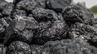 Coal India Declares Interim Dividend Of Rs 10.25 Per Share For FY27 | Check Record Date