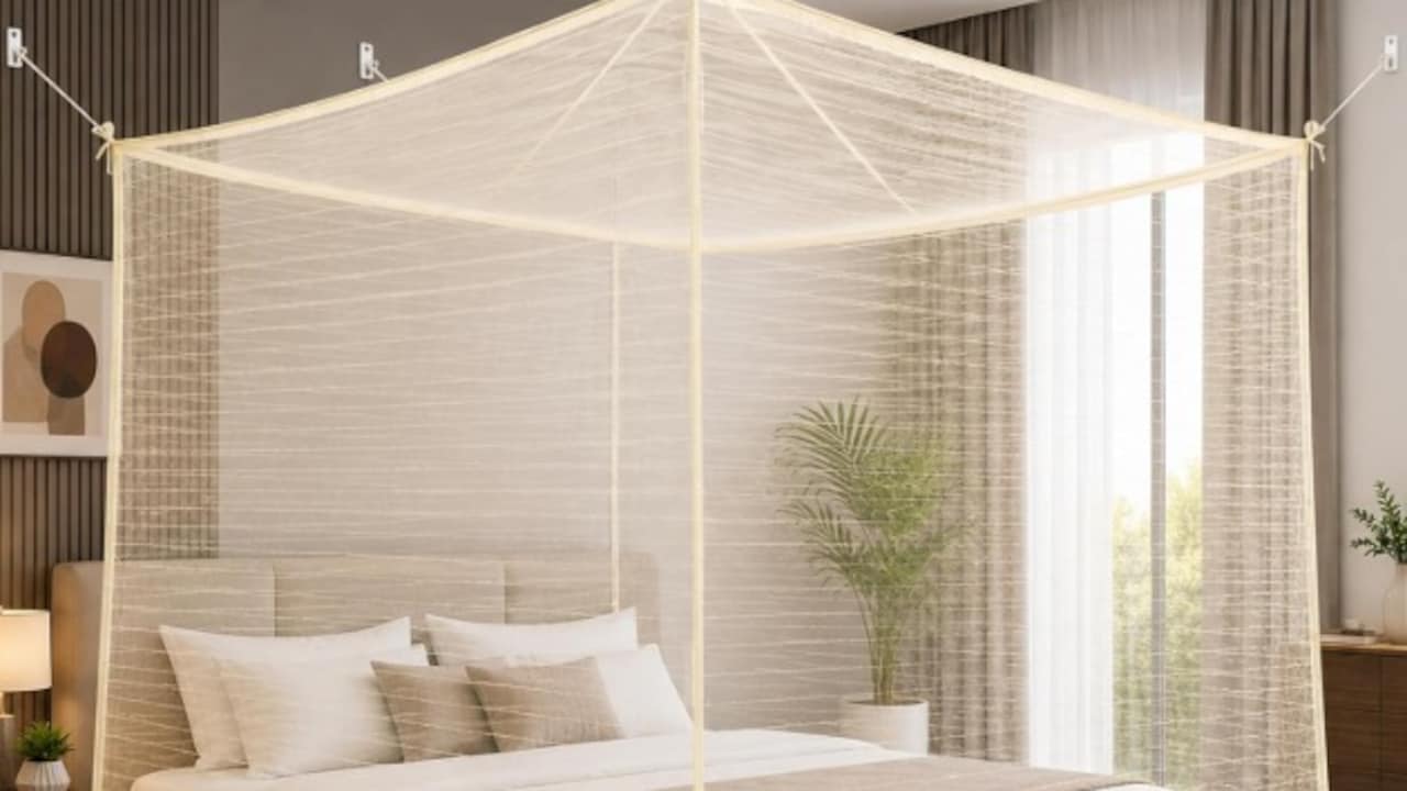 Amazon Great Indian Festival: Top Mosquito Nets At Up To 70% Off Amazon Great Indian Festival: Top Mosquito Nets At Up To 70% Off