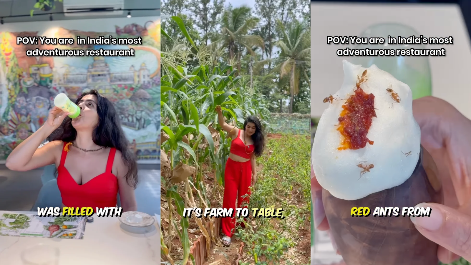 Shahnaz Treasury Tries Red Ants, 'Edible Plastic' At Bengaluru Restaurant