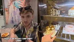 Video: UK Man Amazed By Ludhiana Bakery, Says British Minds "Cannot Comprehend" It