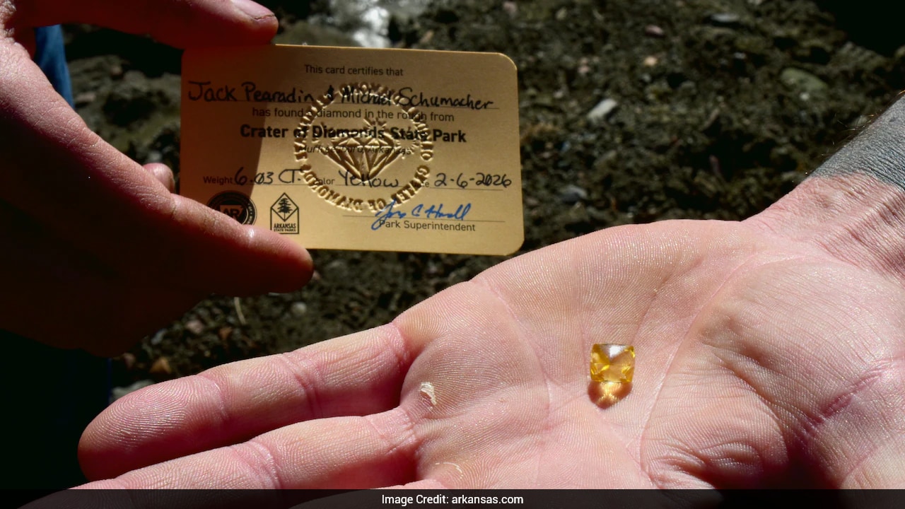 US Man Finds Rare 6-Carat Yellow Diamond At Famous Arkansas Park
