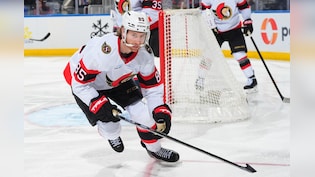 NHL Injury Updates: Jake Sanderson, Artem Zub, Matt Roy And More Face Injury Setbacks
