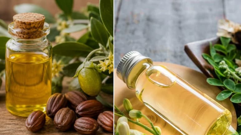 मोरिंगा और जोजोबा ऑयल, बालों को सिल्की बनाने के लिए कौन सा तेल लगाएं
