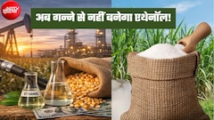 सरकार ने गन्ने से एथेनॉल बनाने पर लगाई रोक, क्या चीनी की बढ़ती कीमतों पर लगेगा ब्रेक?