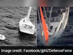 Video: 4 Sailors Survive 17 Hours At Sea After 'Huge' Sperm Whale Sinks Yacht
