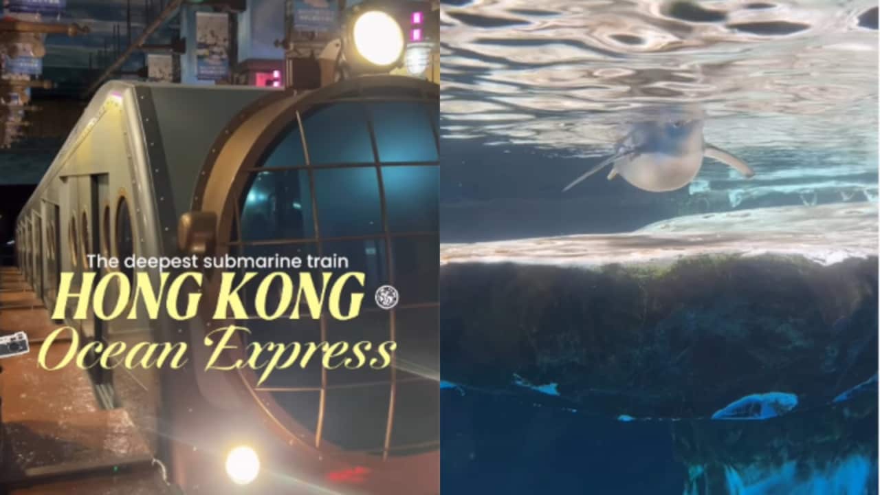 Video: Hong Kong Has A Train That Takes You On An Underwater Journey