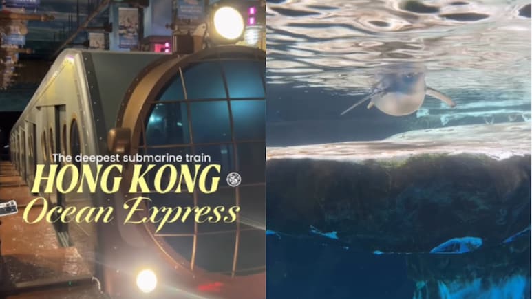 Video: Hong Kong Has A Train That Takes You On An Underwater Journey