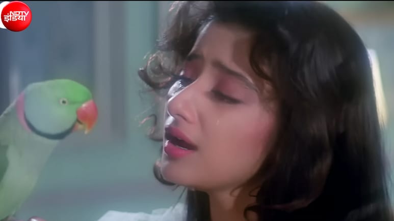 35 साल पुराना दर्दभरा गाना, जिसमें तोते ने सजन तक पहुंचाया था प्यार का संदेश, लता मंगेशकर-सुब्रह्मण्यम की आवाज ने जीता था दिल बनाया कल्ट