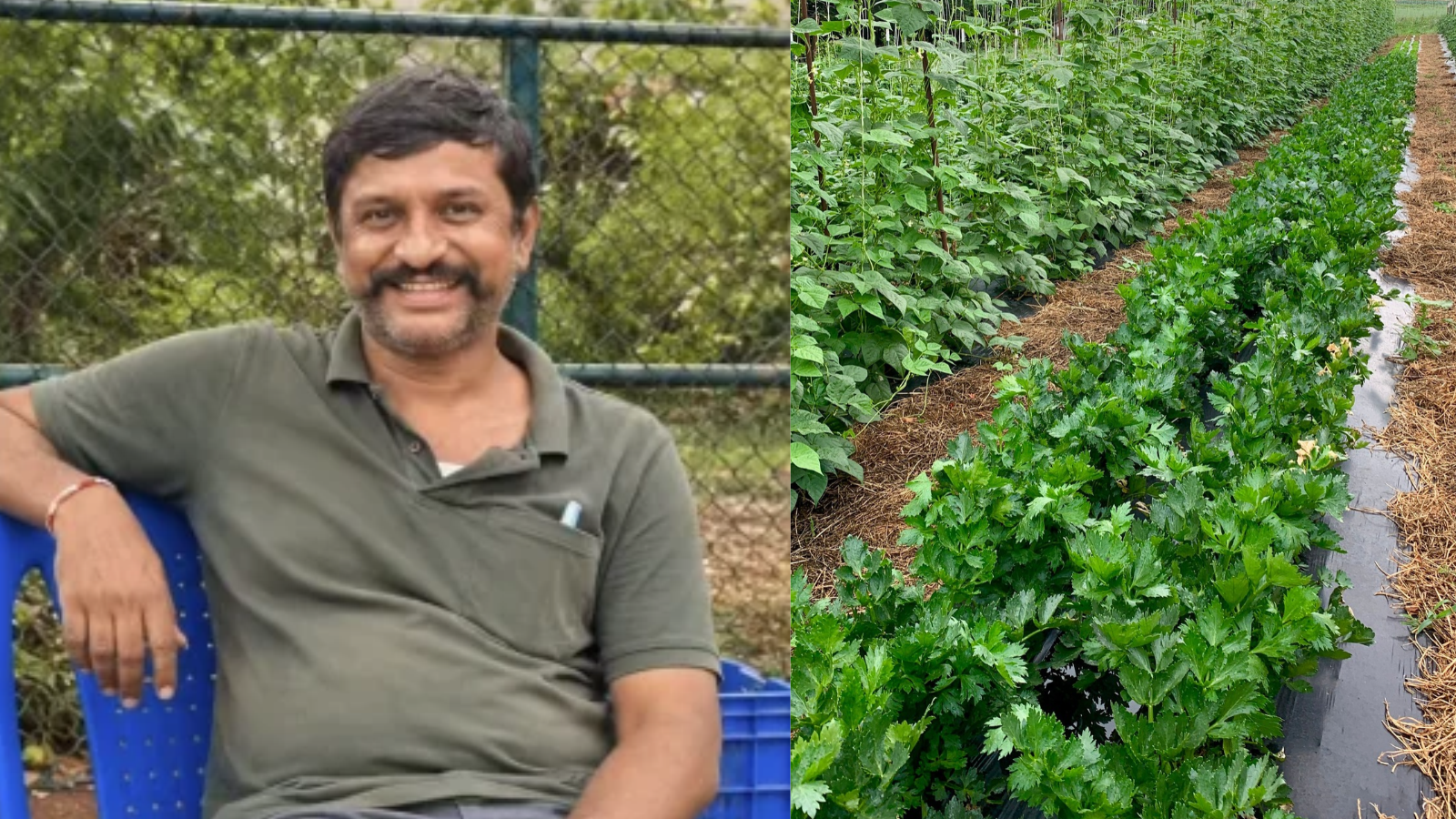 Karnataka Farmer Learnt Farming Online, Now Earns Up To Rs 25 Lakh A Year