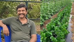 Karnataka Farmer Learnt Organic Farming Online, Now Earns Up To Rs 25 Lakh A Year