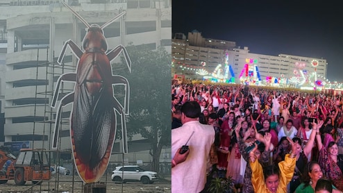 Delhi Ramlila To Burn 30-Foot Cockroach Effigy Today To Promote Cleanliness