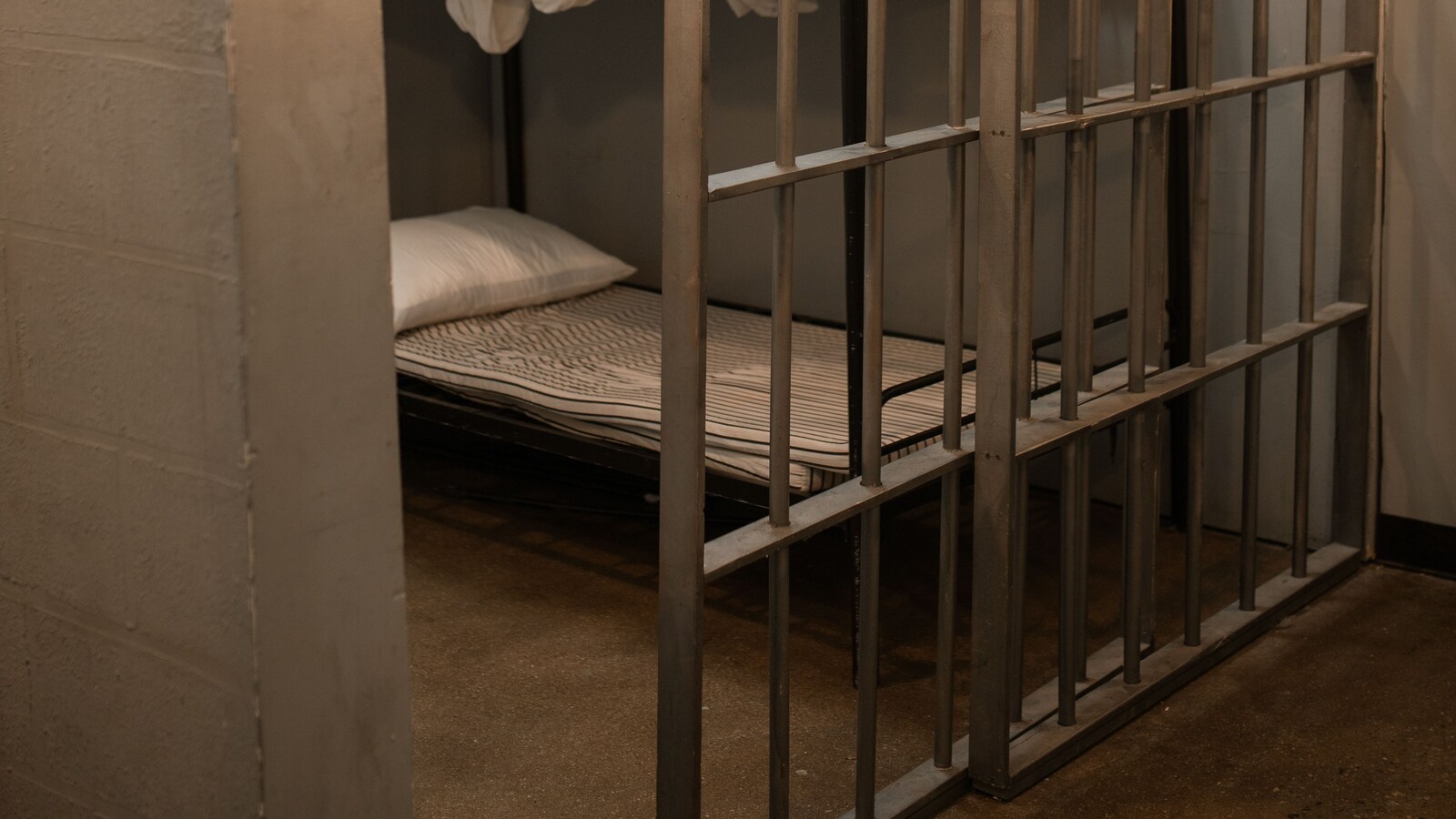 British Teen Admits To Attempting Sexual Act With Pony, Faces Jail