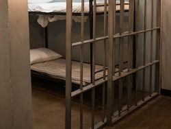 British Teen Admits To Attempting Sexual Act With Pony, Faces Jail