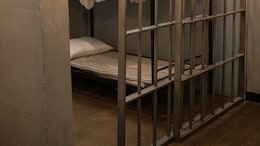 British Teen Admits To Attempting Sexual Act With Pony, Faces Jail