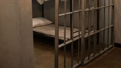 British Teen Admits To Attempting Sexual Act With Pony, Faces Jail
