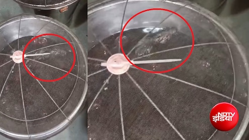 गुलाब जामुन के बर्तन में तैरता दिखा चूहा! भिवंडी का Video Viral होते ही FDA की दुकान पर दबिश
