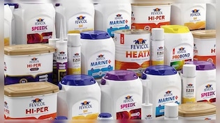 Pidilite Industries Q2 Review: Citi Cuts Target Price, Goldman Sachs And HSBC Retains 'Buy'