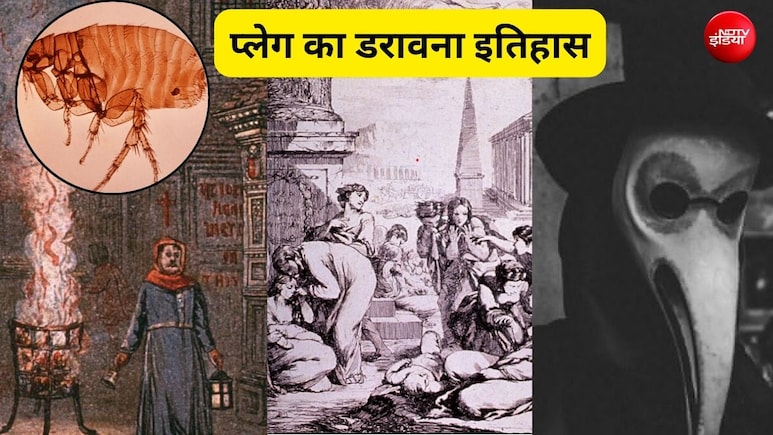 प्लेग का नाम सुनते ही क्यों बजता है अलार्म-डरावना है इतिहास