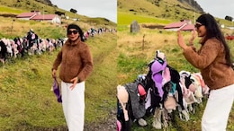 Video: This New Zealand Fence Is Covered In Hundreds Of Bras, And Tourists Keep Adding More