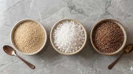 Samak vs Sabudana vs Kuttu: Which Vrat Staple Is Best For Your Health?